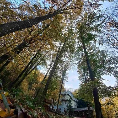 База Відпочинку Шиповець Poroshkovo المظهر الخارجي الصورة